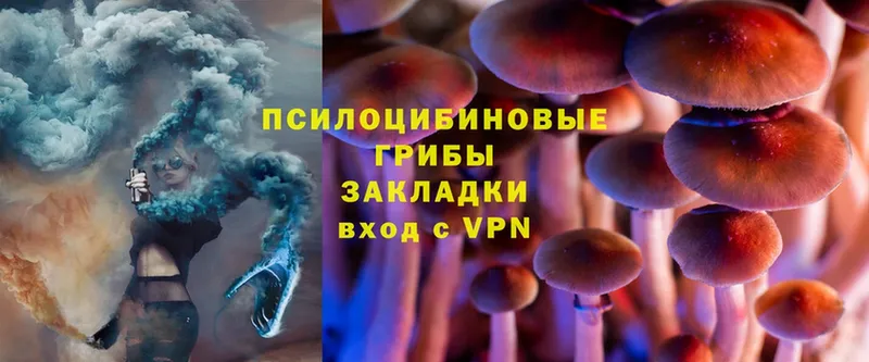 Псилоцибиновые грибы Psilocybine cubensis  что такое   kraken ТОР  Кизел 